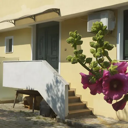 Pantheon 빌라 PalaiónTsiflíkion